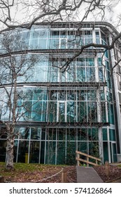 Tree wall