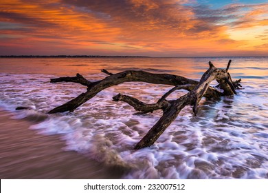 1,290 Jekyll Island Beach Images, Stock Photos & Vectors 