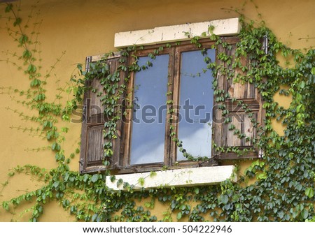 Similar – Wilder Wein an einem verlassenen Gebäude mit geschlossenem Fenster und Satellitenschüssel