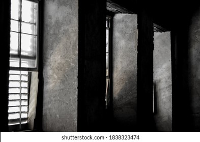 Tree windows with a concrete structure