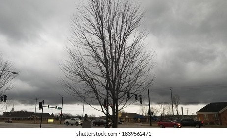 Tree Without Leaves In A Cold Winter Day In Kansas City Missouri February 2017