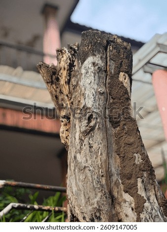 Tree wont help all of us