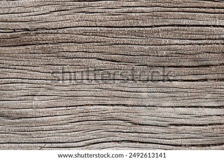 Similar – Image, Stock Photo tree bark Tree bark