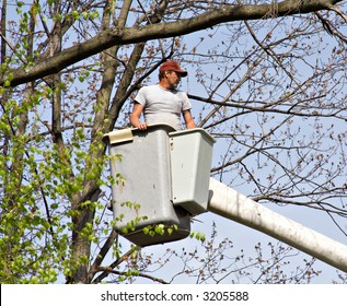 Tree Worker Evaluating The Job From A Bucket Truck