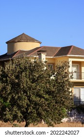 A Tree-draped Cute Yellow House.