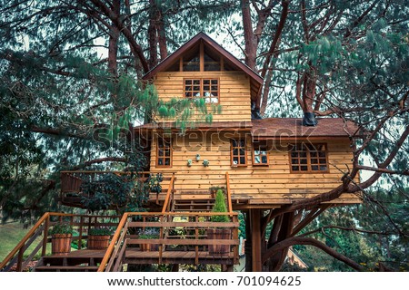 Treehouse./ Treehouse./ Treehouse. 