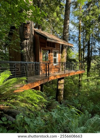 Treehouse in the forest in Oregon