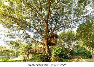 Treehouse for kids in the garden. - Powered by Shutterstock