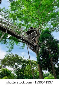 A Treehouse In The Middle Of A Village In Meghalaya Build By Hands And A Lot Of Love By The Local Villagers