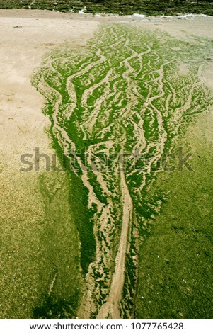 Similar – bathing fun Colour photo