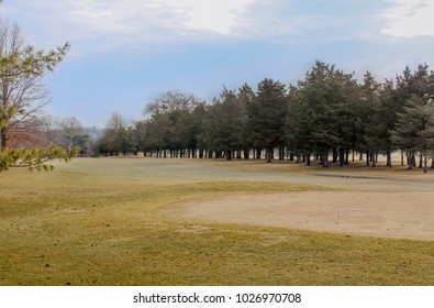 Treeline Framing A Golf Course