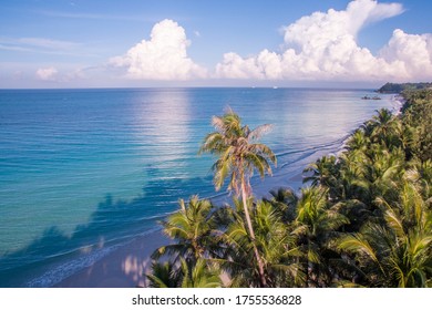 Treeline Ocean Views Of The Cloudy Skyline