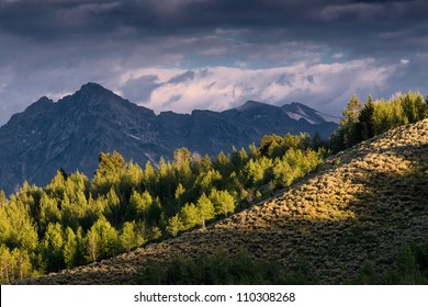 Treeline Is Selectively Lit By The Rising Sun From The Oxbow Bend Overlook At Grand Teton National Park Near Jackson, Wyoming