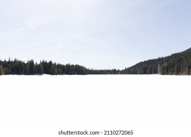 Treeline of a snow covered lake