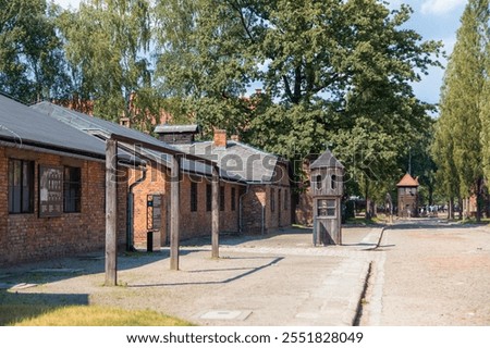 Tree-lined path flanked by red brick barracks at Auschwitz, evoking silence and profound reflection.