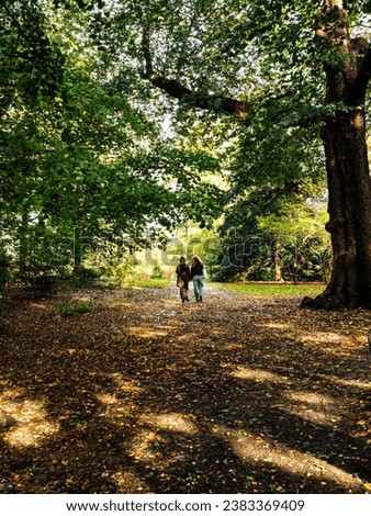 Tree-lined path in New York City's Central Park, Autumn leaves cover the walkway, two women walking in distance, seen from back. Quiet, contemplative mood on a crisp, early fall day.