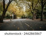 Tree-Lined Street in Glasgow during Autumn