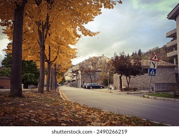 A tree-lined street with yellow leaves falling.
The street is located in a city.
 * The trees are likely linden or sycamore trees.
 * The parked car is a gray sedan.
 * The clouds are white and gray.
 - Powered by Shutterstock