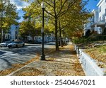 Tree-lined Washington Street with fall foliage in Brighton, Massachusetts, USA