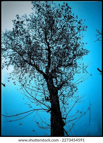 Similar – Image, Stock Photo chill Water Winter Ice