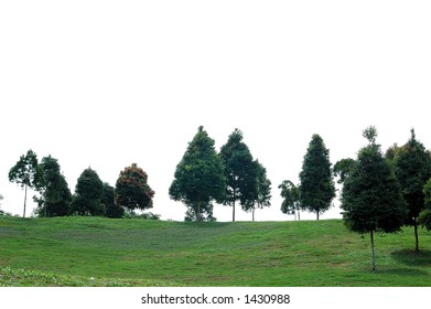 Trees