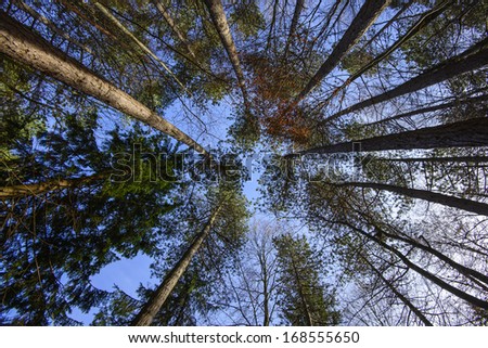 Similar – Image, Stock Photo Wind power at Roßkopf 8