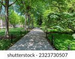 The trees in alley in the campus of Pennsylvania State University in summer sunny day, State College, Pennsylvania