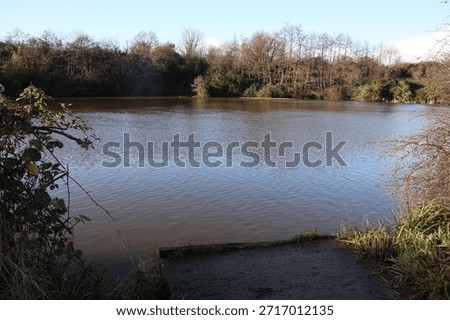 Trees along a rive bed