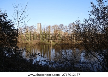 Trees along a rive bed