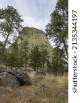Trees around the base of Devils Tower, Wyoming. Vertical shot.