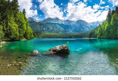 Trees Around A Mountain Forest Lake