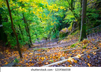 Stock Photo and Image Portfolio by Fred Gartner Shutterstock