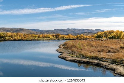 Trees In Autumn With Multi Colored Leaves In Northern Nevada Landscape Photograph. 