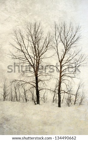 Similar – Foto Bild Winterliches Stoppelfeld