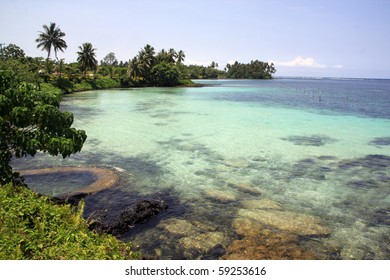 Trees And Beach In Upolu Island, Samoa