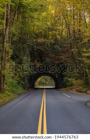 Trees Begin To Change Color Over Tunnel along the Blue Ridge Parkway