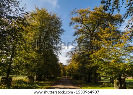 Trees begin to change colour during the autumn at Dunham Massey, England.