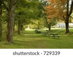 trees and bench