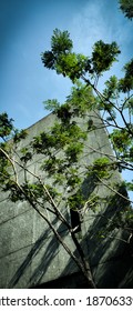 Trees Blocking A Grey Building