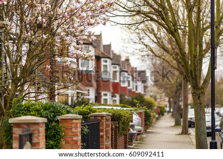 Trees in blossom in Lodon