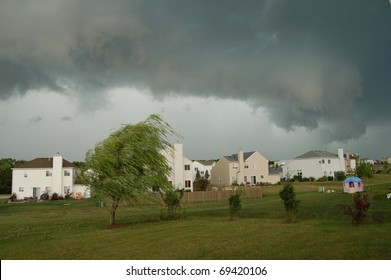 Trees Blowing In Strong Wind As Massive Storm Cell Approaches