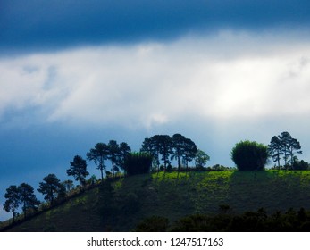 Trees and blue sky with clouds