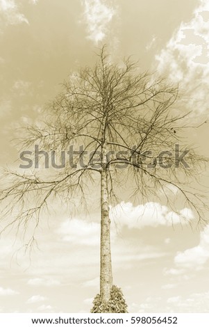 Similar – Der Himmel über Berlin