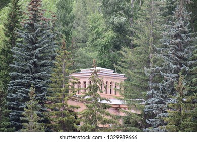 Trees and building