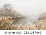 Trees and bushes in hoarfrost around Snake river in rural Idaho state park