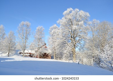 Trees and cabin in winterlandscape