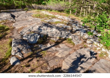 Trees casting long shadows over bedrock along hiking trail at Six Mile Lake during Summer
