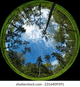Trees in the city garden - panorama created by a circular wide-angle fisheye lens. Spherical 180 degree Fulldome format