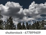 Trees and Clouds