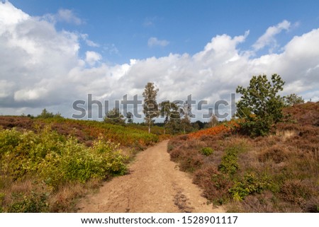 Trees, clouds and autumncolors in a Dutch landscape